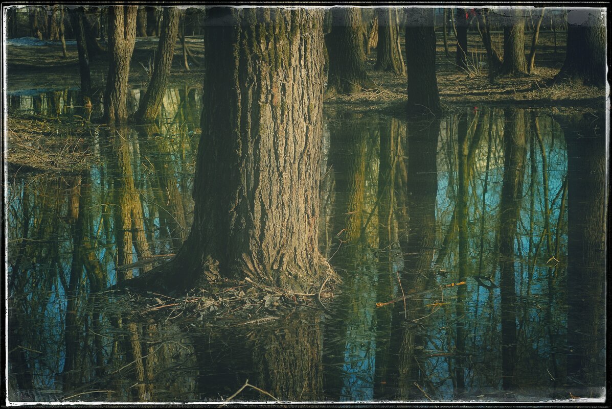 * * * - Руслан 