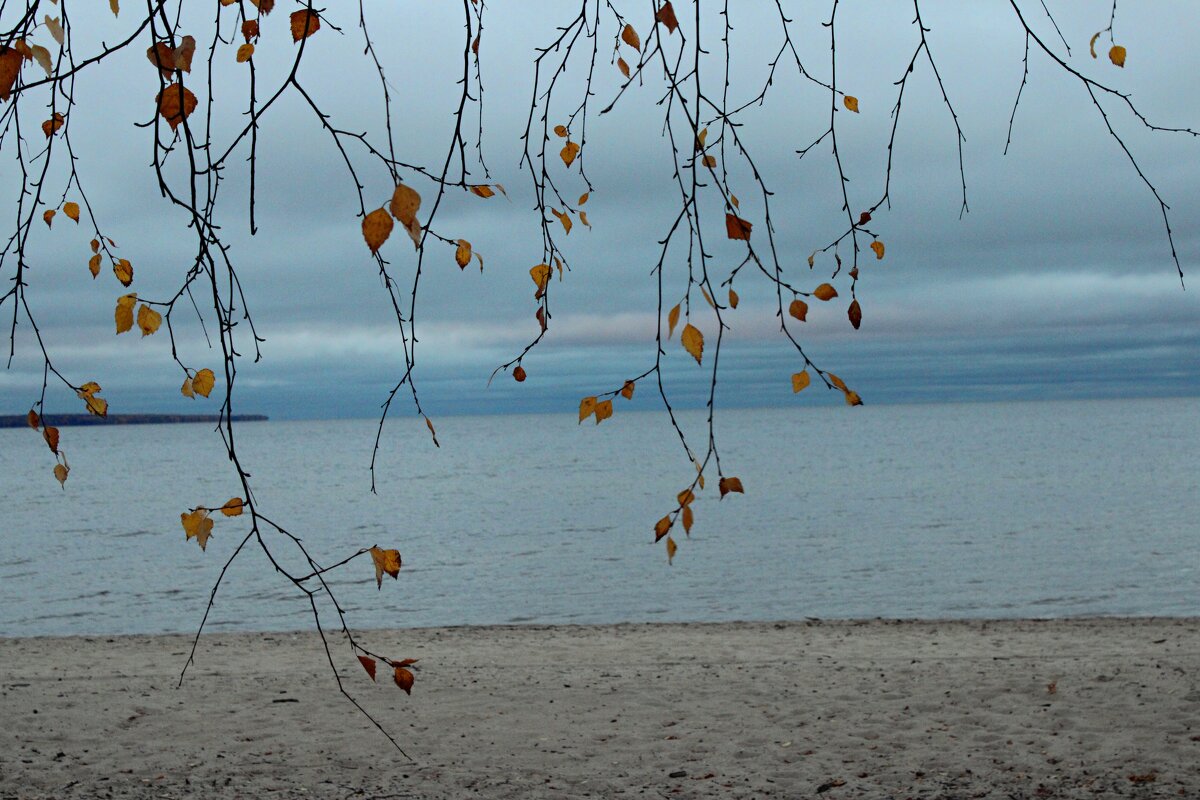 Онего.Береза. - Мария 