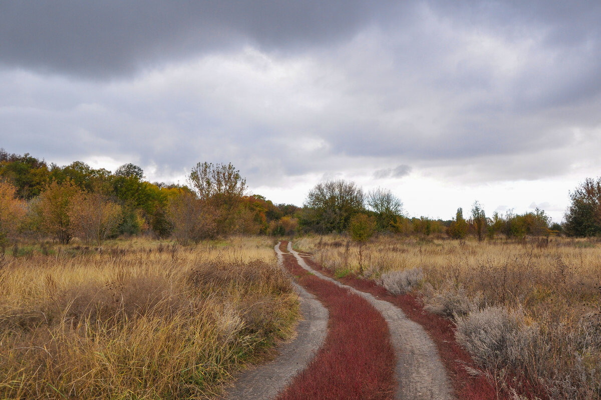 Дорога к Дону - Татьяна Машошина Дорога к Дону - Татьяна Машошина