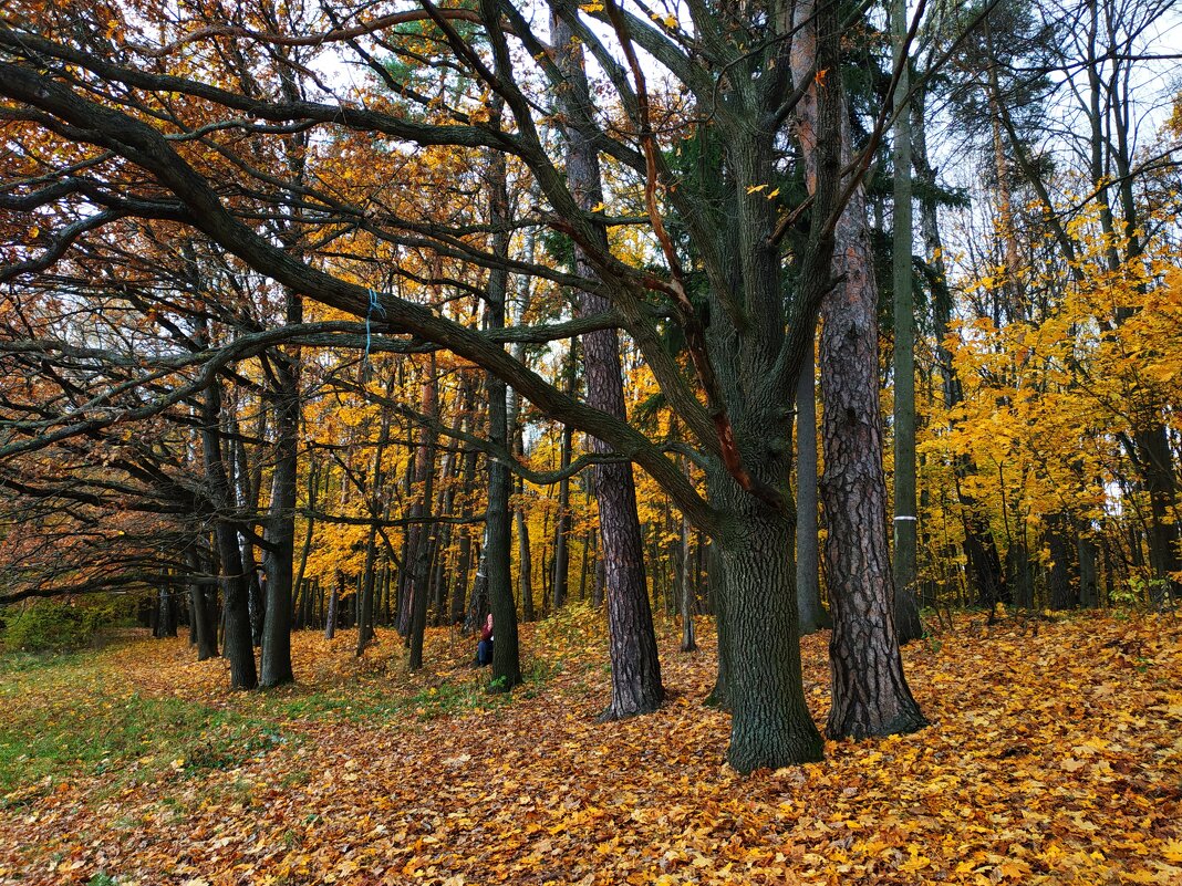 Почти молитва - Андрей Лукьянов