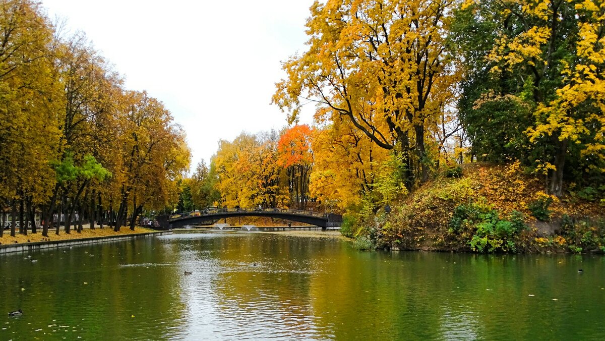 Осенний сад. - Милешкин Владимир Алексеевич Осенний сад. - Милешкин Владимир Алексеевич
