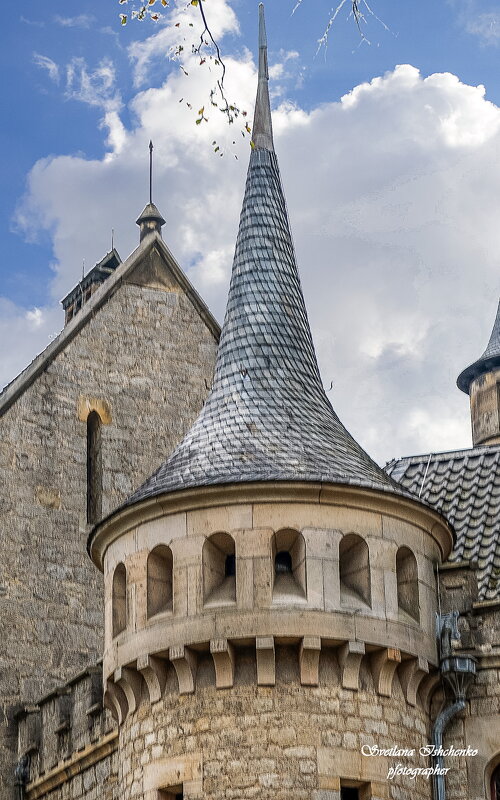 ... - Светлана Ищенко