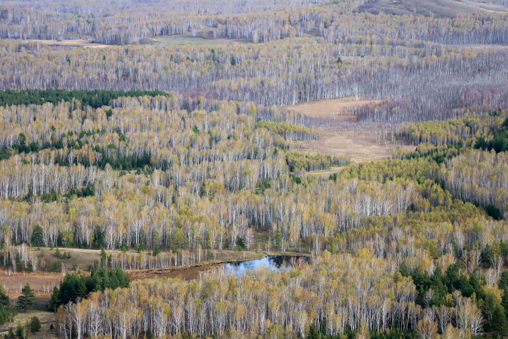 Вид на осень сверху - Галина Ильясова Вид на осень сверху - Галина Ильясова