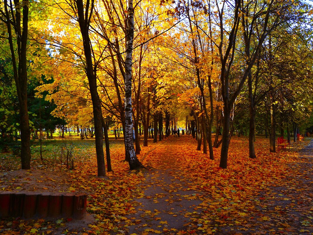 Чебоксары. Дорисс-парк осенью - Пётр Чернега