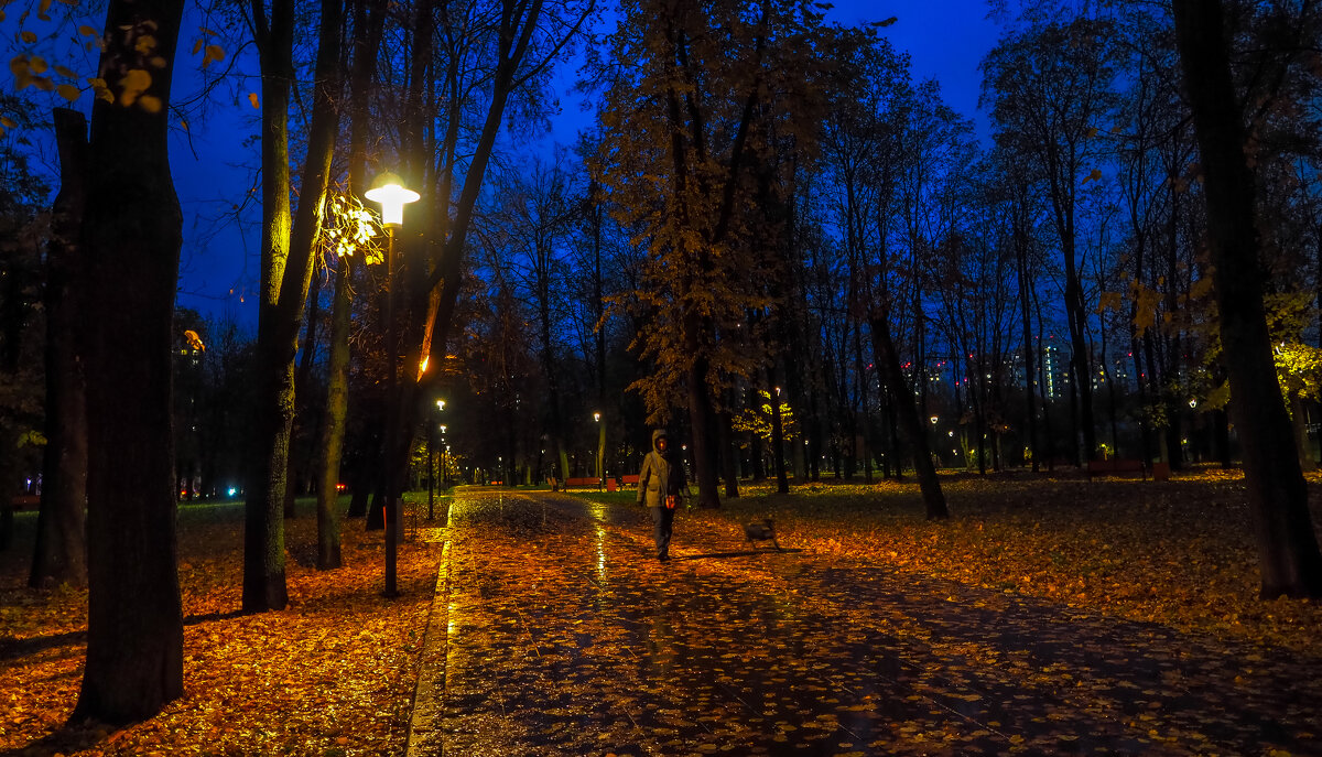 Осенний Вечер в Городе - юрий поляков