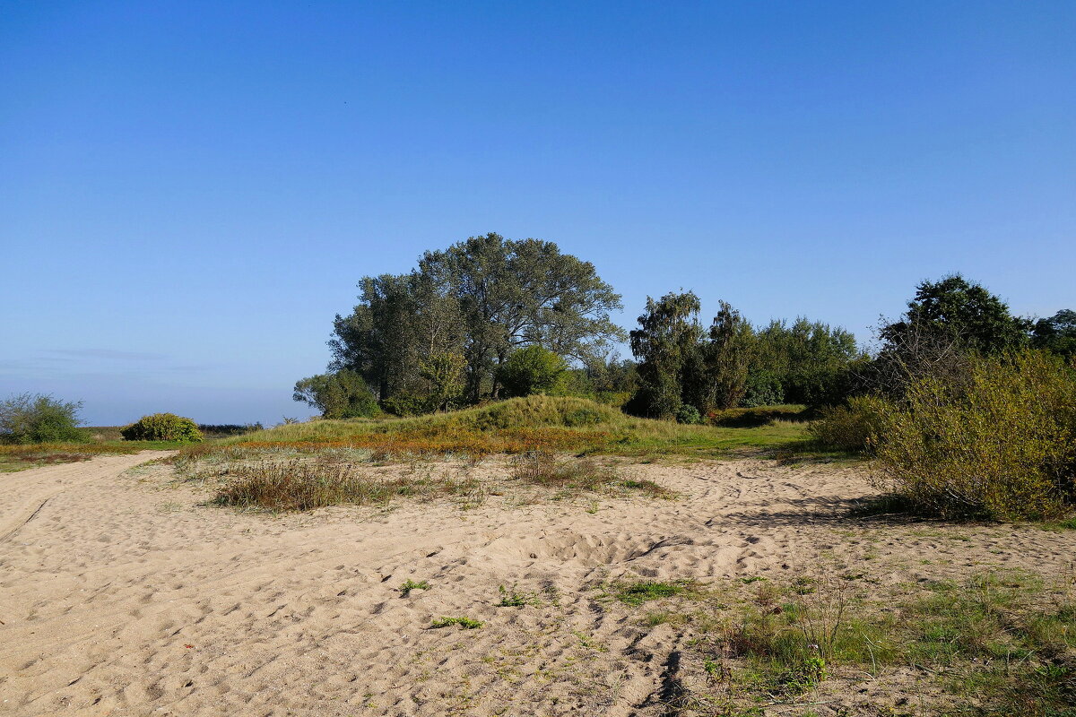 Побережье Калининградского  залива - Рита Симонова