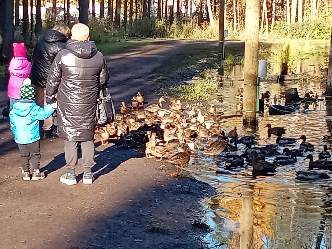 в Беличьем парке - Виктор 