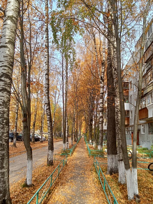 Пора листопада - Виктор Пора листопада - Виктор