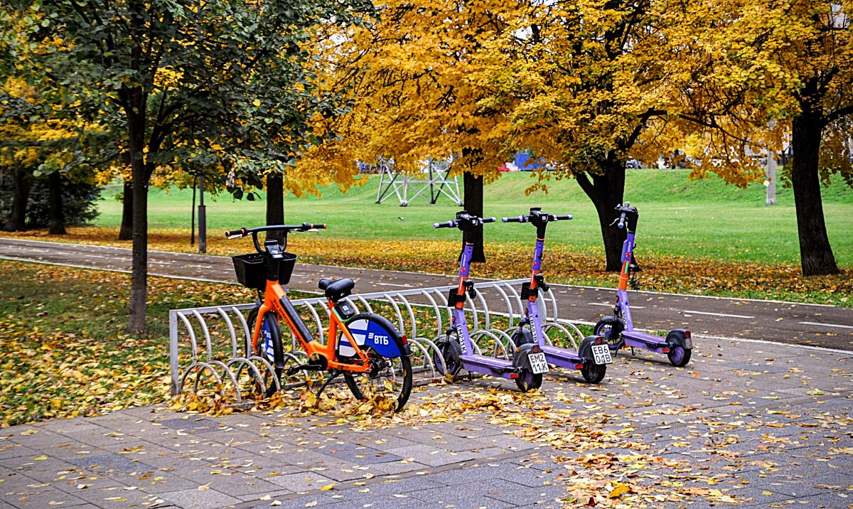 Пока разрешено , катайся по велодорожкам ! - Анатолий Колосов