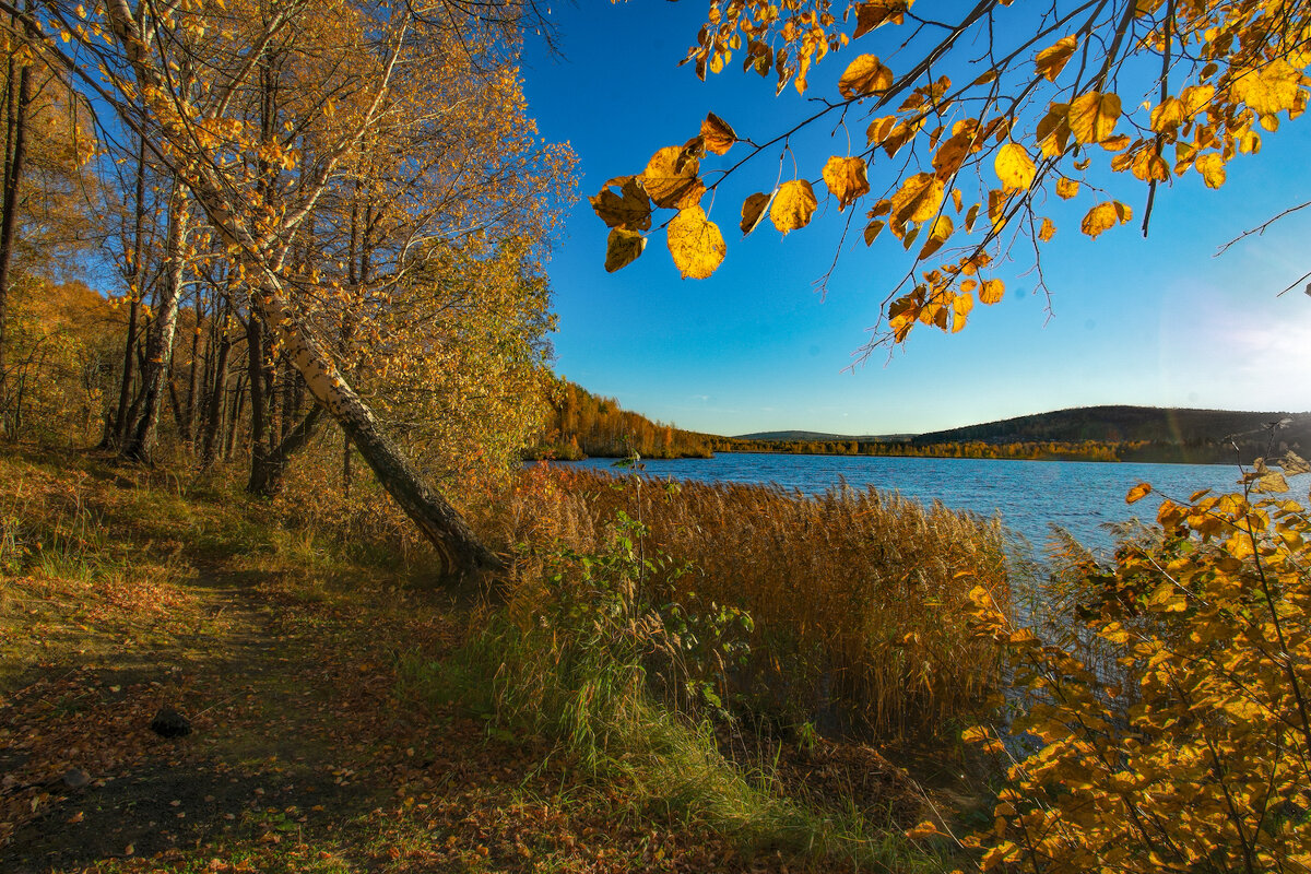 Осенний уголок - Vladimbormotov 