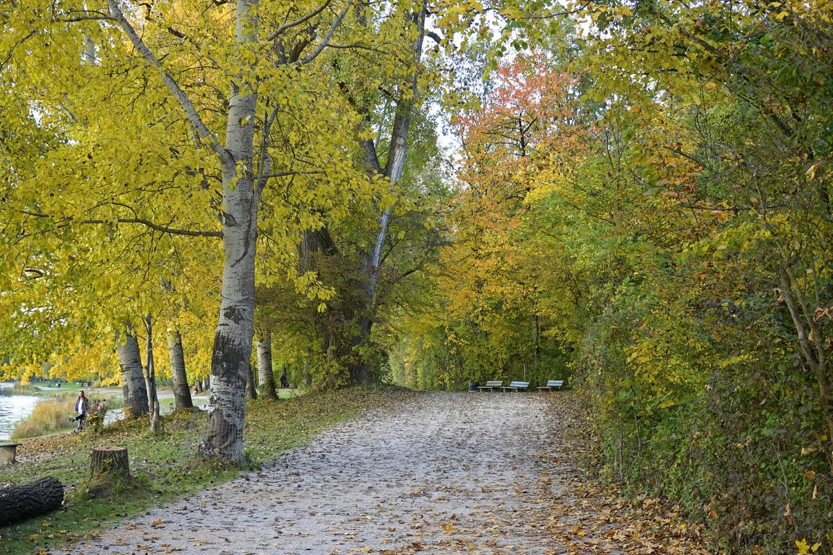 Бродит осень по дорожкам... - Галина 