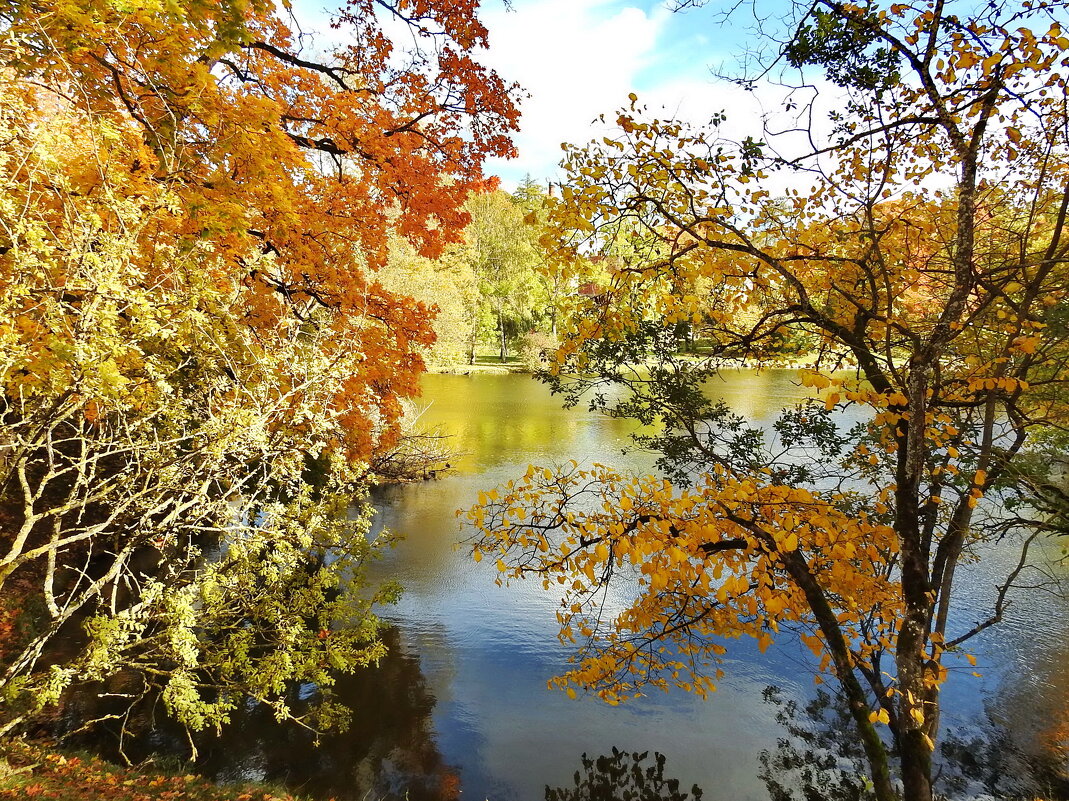 осень - ИННА ПОРОХОВА