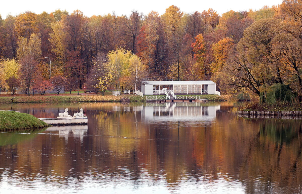 Царицыно 16 октября - Михаил Бибичков