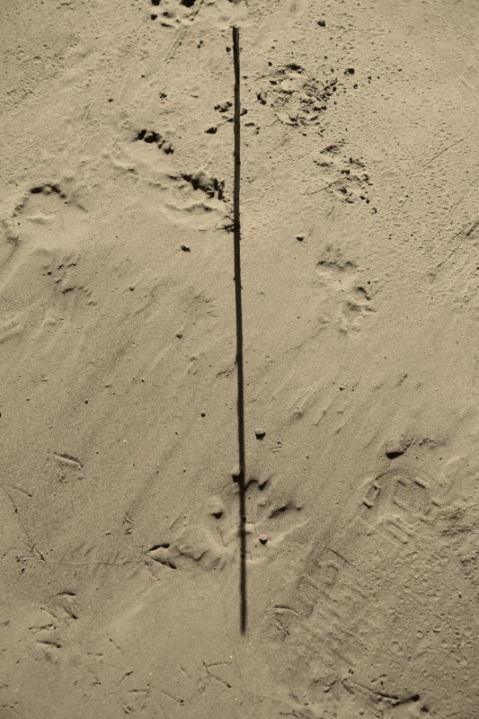 Фотография - Денис Безногов