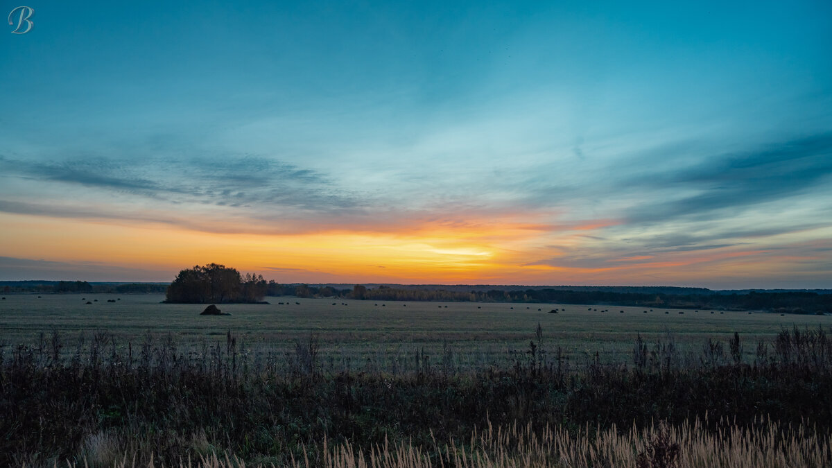 В поле. - Валерий 