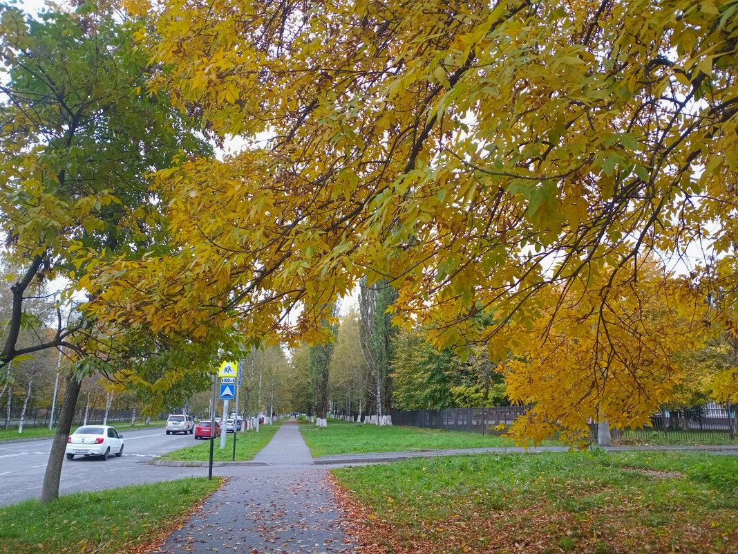 Середина осени - Татьяна Львова