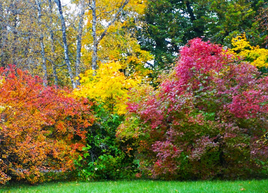 Все краски октября - Aida10 