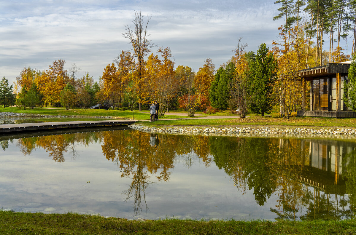 В Мещерском парке - Владимир Езеров 