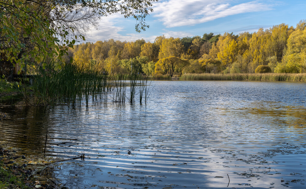 В парке Покровское-Стрешнево - Александр Орлов