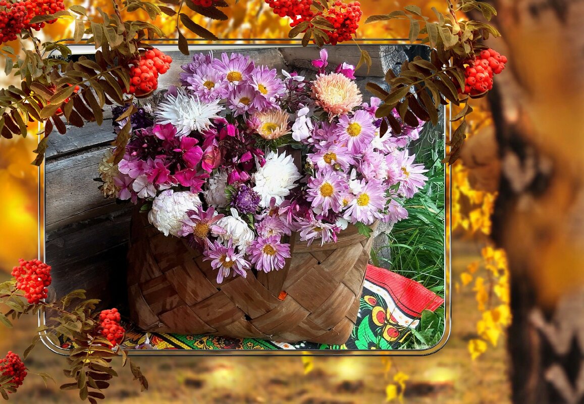 Разноцветная осень! - Нина Андронова Разноцветная осень! - Нина Андронова