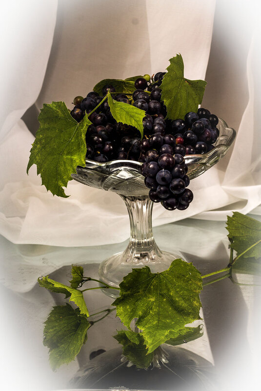 Виноград - Людмила Павловна Крышковец