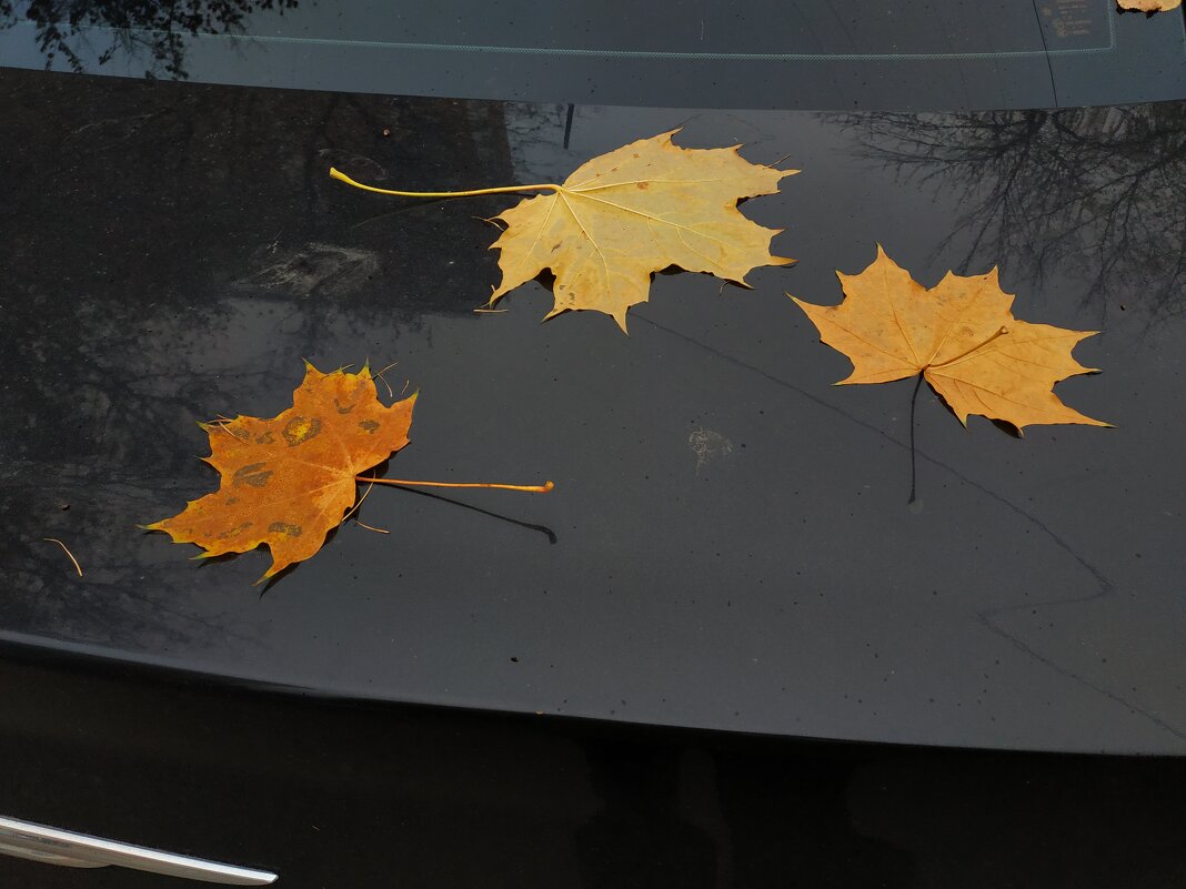 И поход в п-ку на перевязку на что-нибудь годится - Андрей Лукьянов
