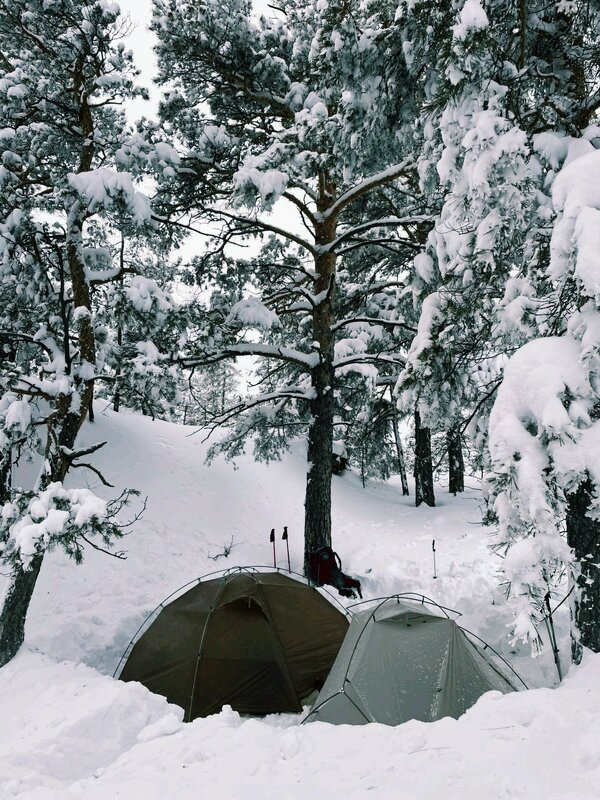 Зимой в походе - Георгиевич 