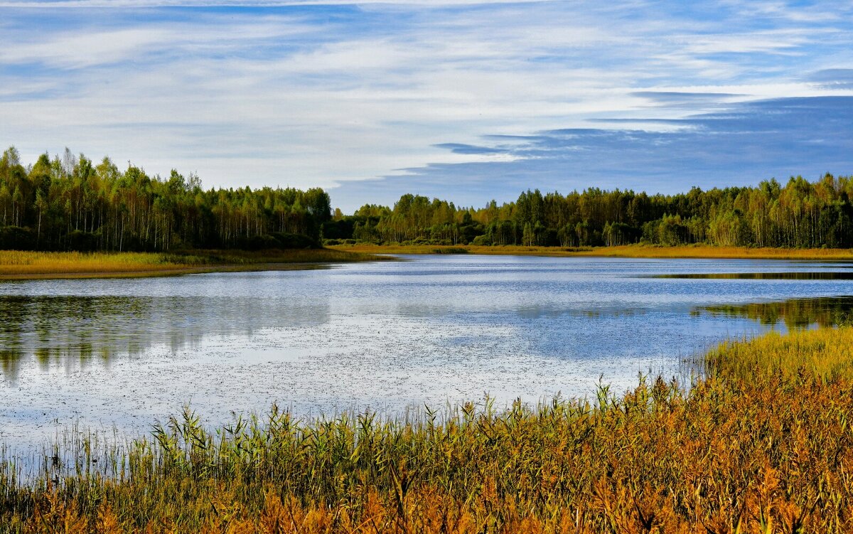 Про озёра Смоленщины. - Милешкин Владимир Алексеевич 