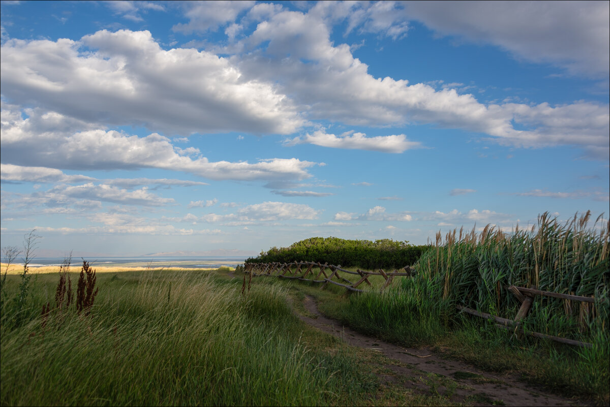 Утро - **** vedin