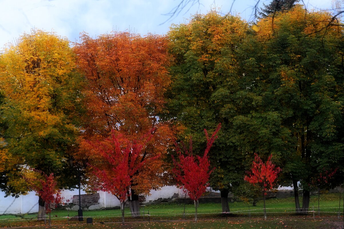 Палитра осенних красок в одном ряду. - Татьяна Помогалова Палитра осенних красок в одном ряду. - Татьяна Помогалова