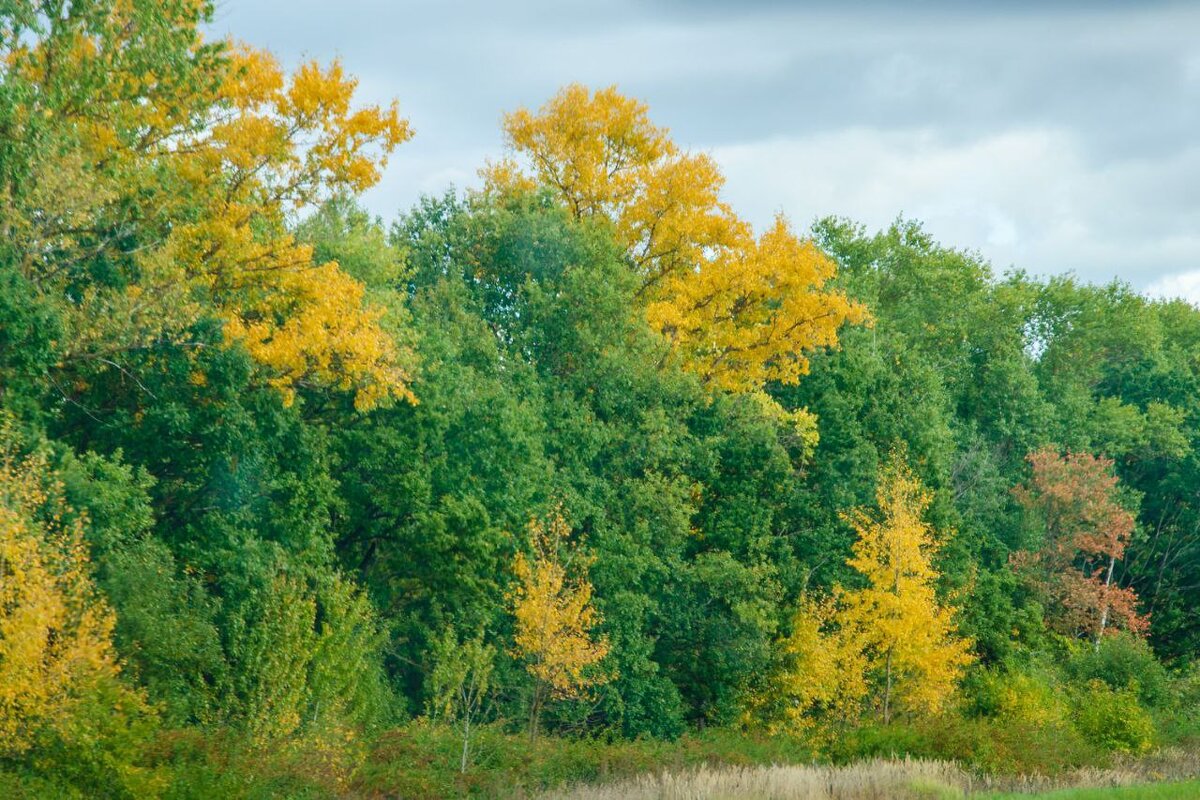 Начало осени - Галина Ложечникова