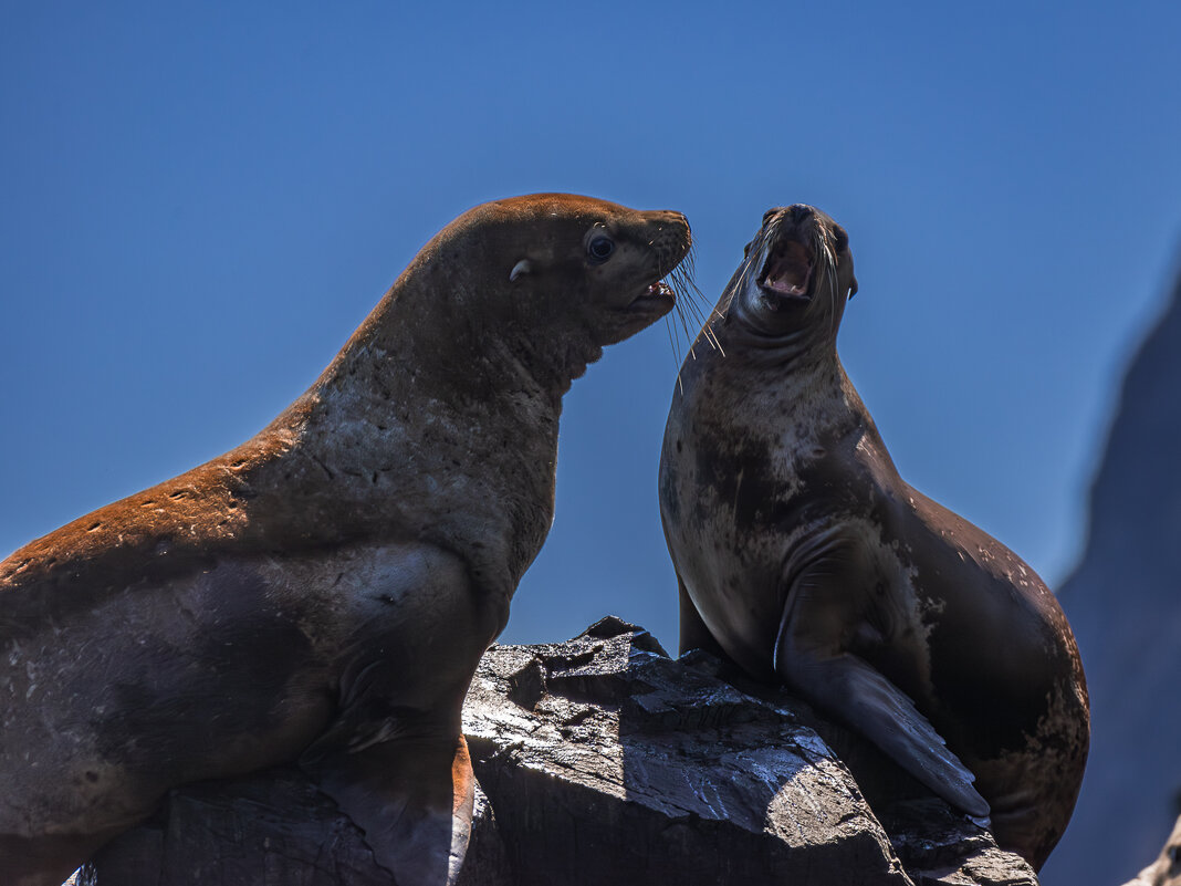... - Жора Житников