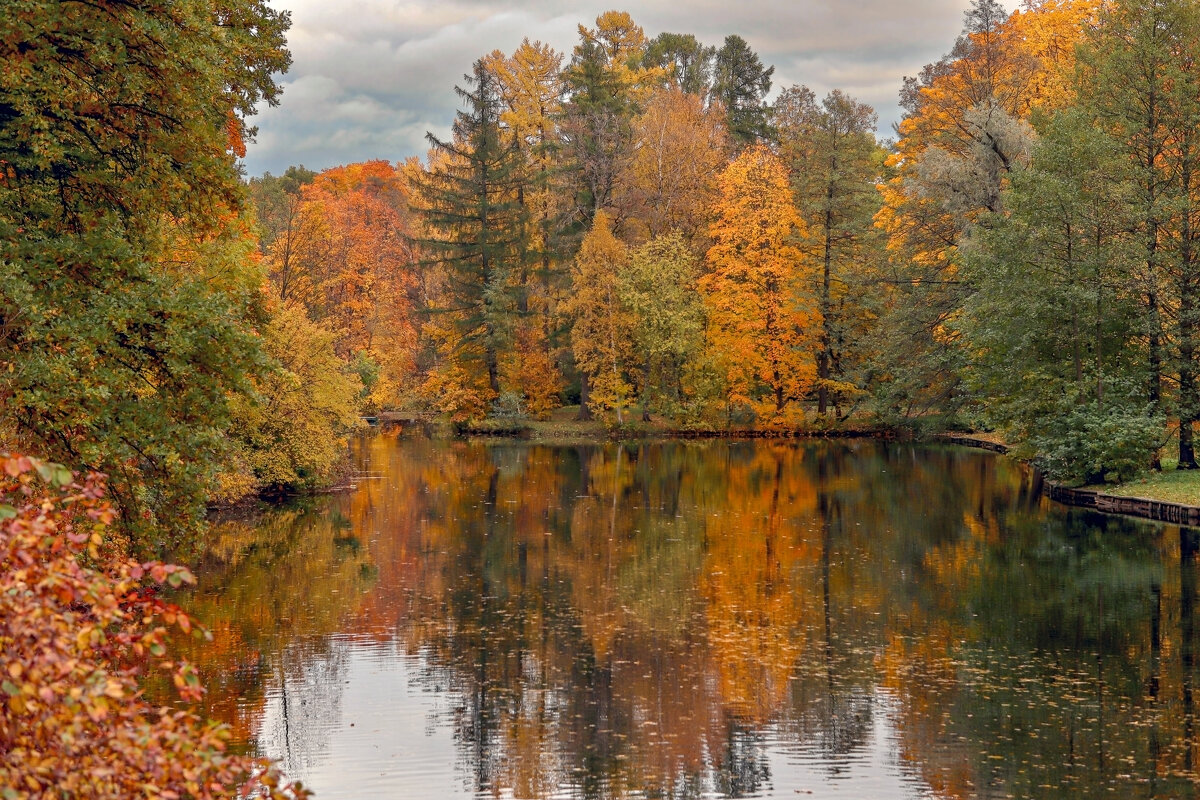 Елагин остров - skijumper Иванов