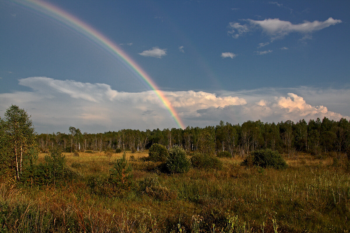 Радуга над полем - MILAV V