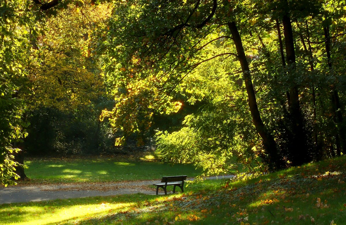 Утро октября - Юрий. Шмаков