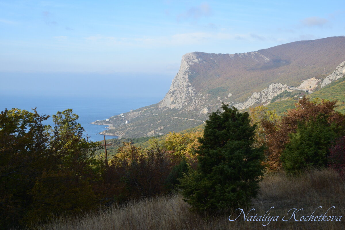 Природа Крыма - Amazing Cosmea