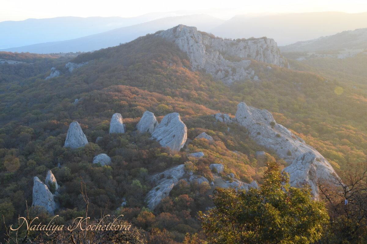 Природа Крыма - Amazing Cosmea