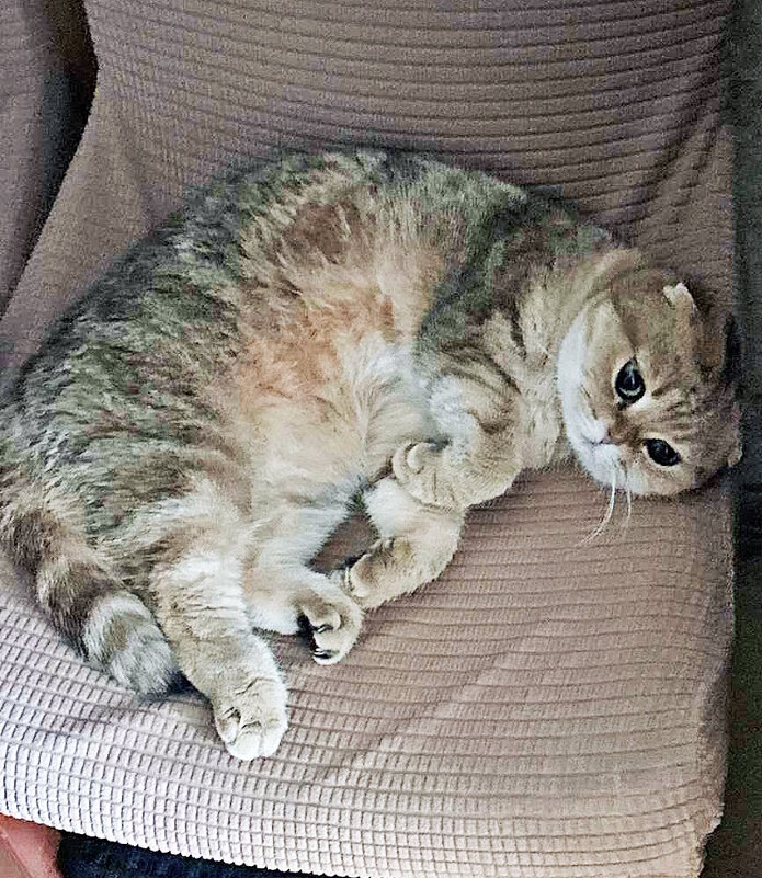 Марфа отдыхает - Ольга Довженко