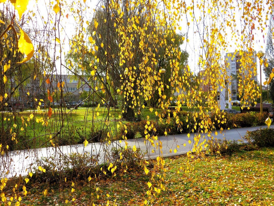 *** - Лариса С.