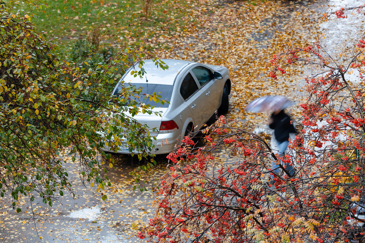 Ненастный день - Александр Синдерёв