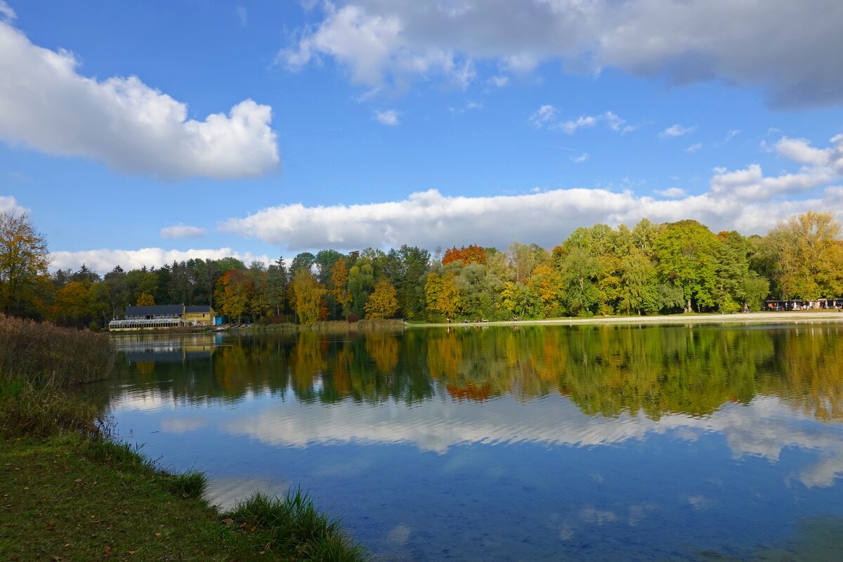 Цветная осень - вечер года - Мне улыбается светло... - Галина 