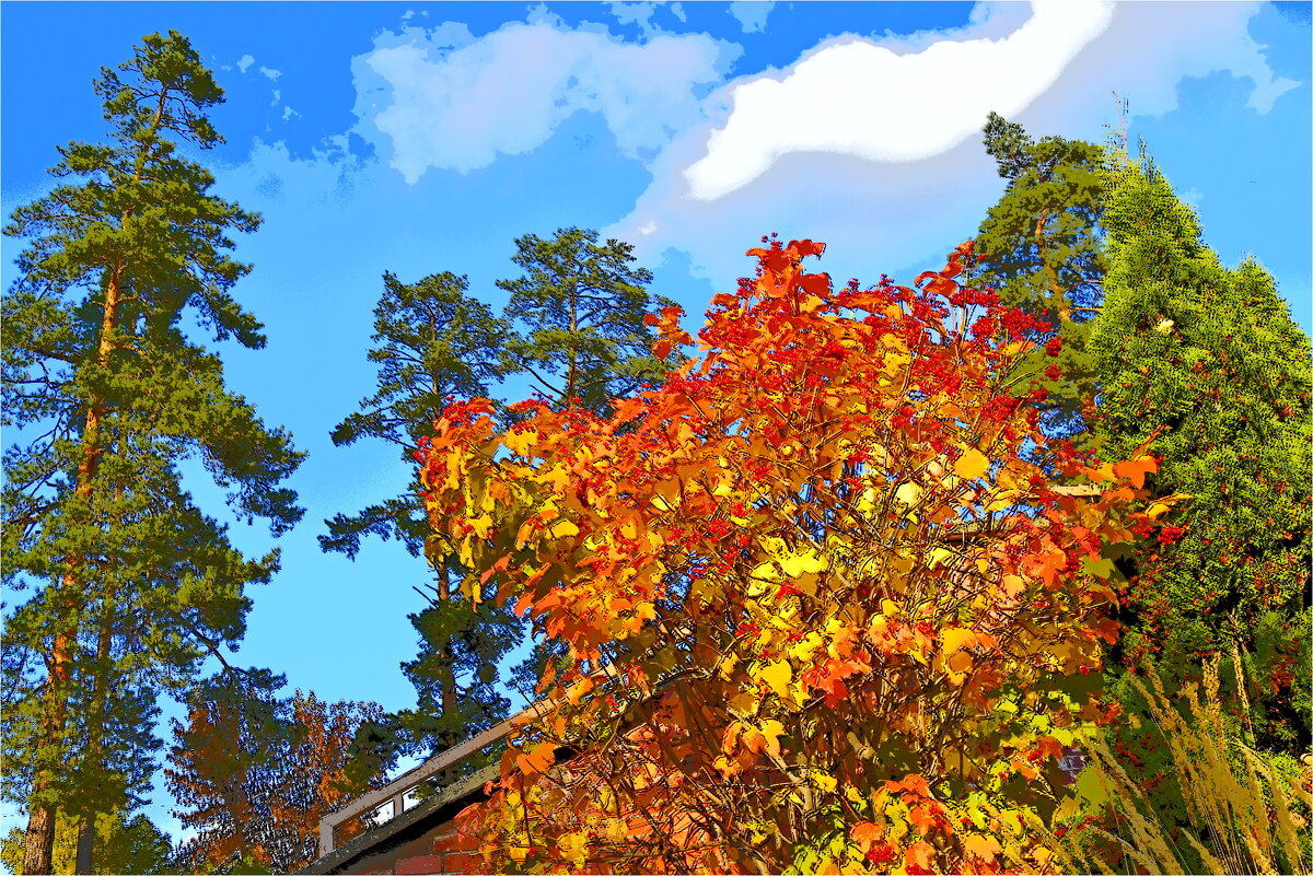 Золотая осень - Юрий Владимирович 34 Золотая осень - Юрий Владимирович 34