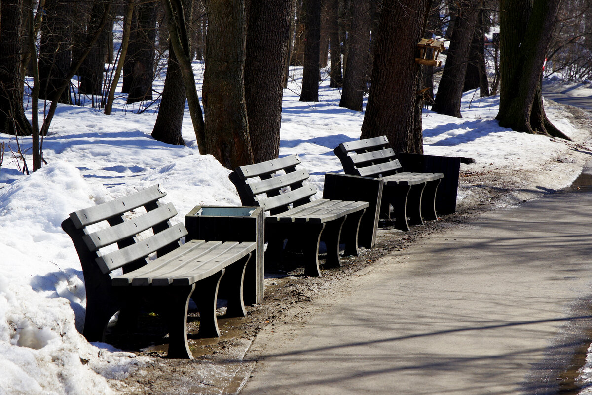 В Кузьминском парке - Игорь Белоногов