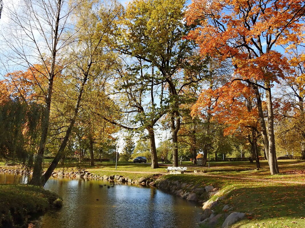 осень - ИННА ПОРОХОВА