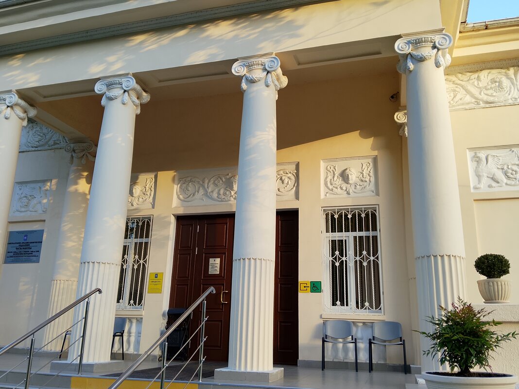 МАЦЕСТА - Tata Wolf