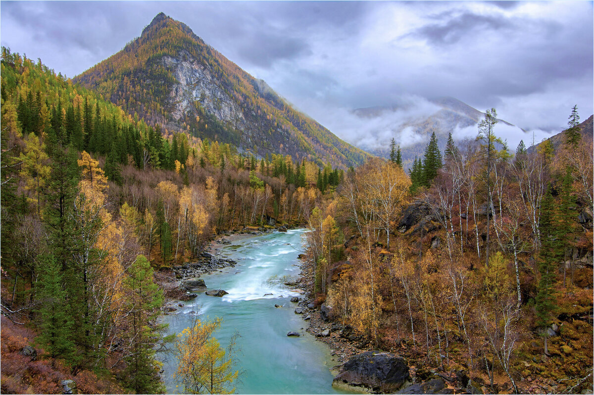**** - Алексей Мезенцев **** - Алексей Мезенцев