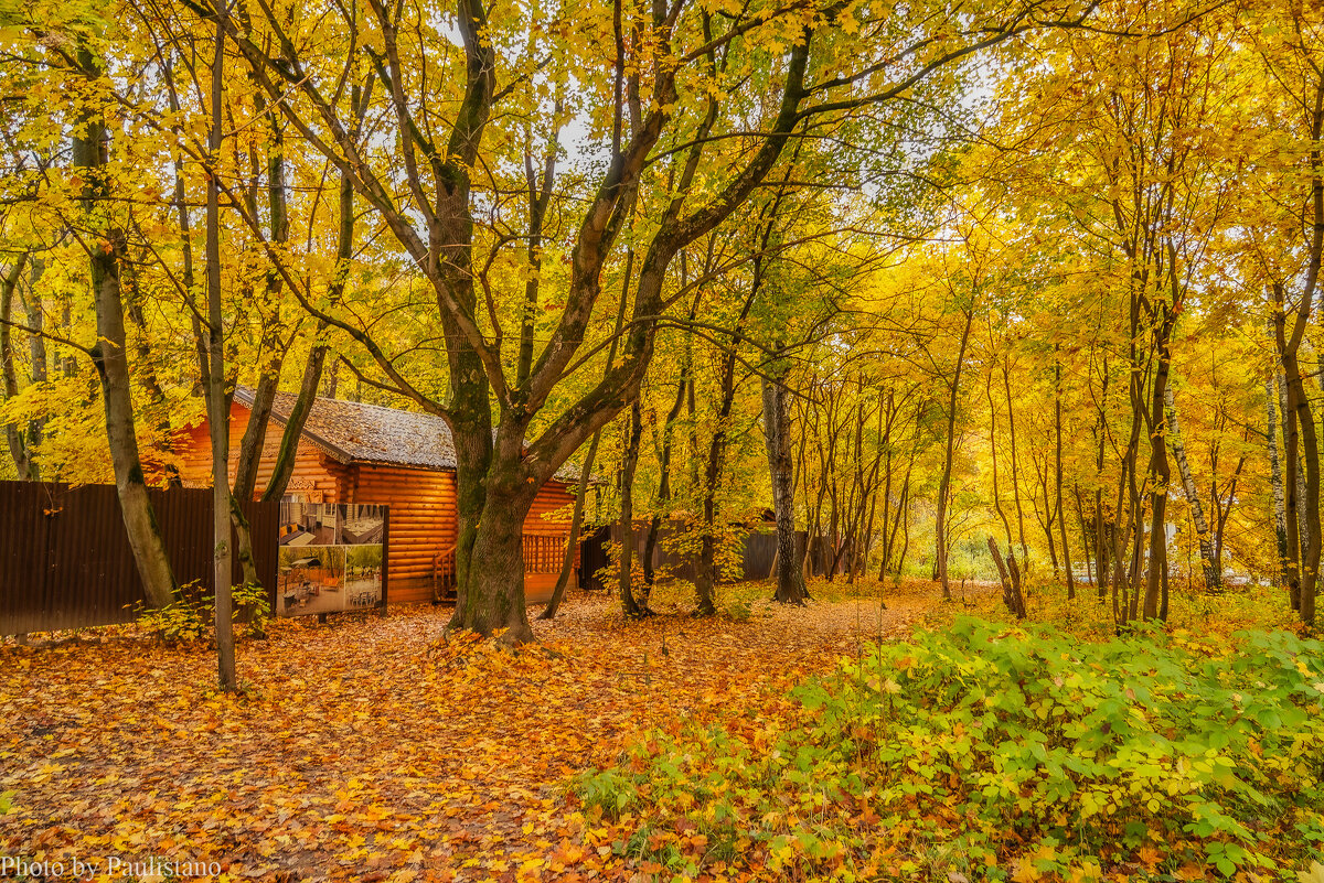 В осеннем парке... - Владимир Жданов