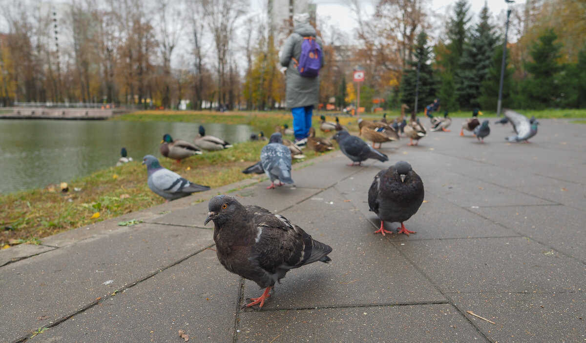 ***** - юрий поляков