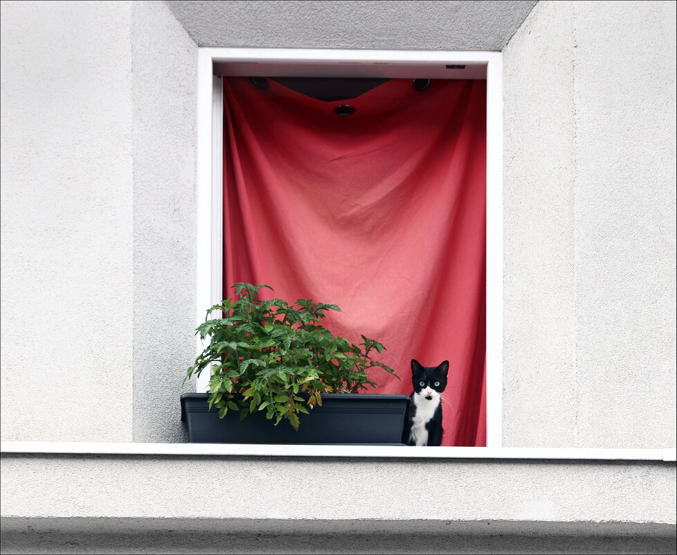 Здравствуйте! - Валерий Готлиб