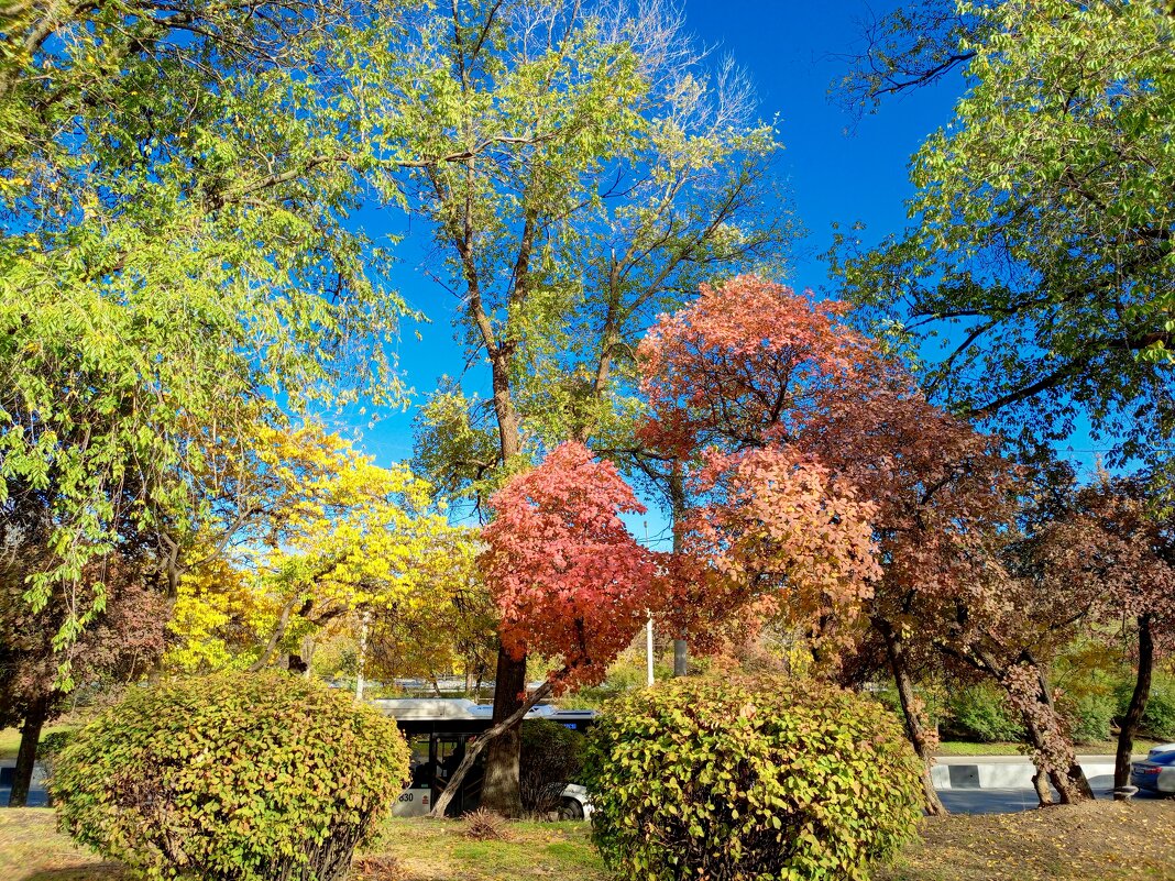 Ростовская осень - Нина Бутко